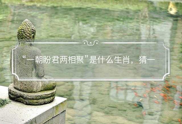 一朝盼君两相聚是什么生肖，猜一最佳正确生肖最佳解答解释释义落实