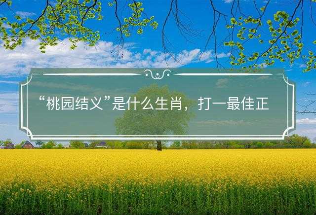 桃园结义是什么生肖，打一最佳正确生肖正文解释释义落实
