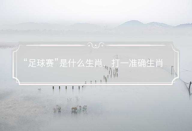 足球赛是什么生肖，打一准确生肖精选成语释义解释落实