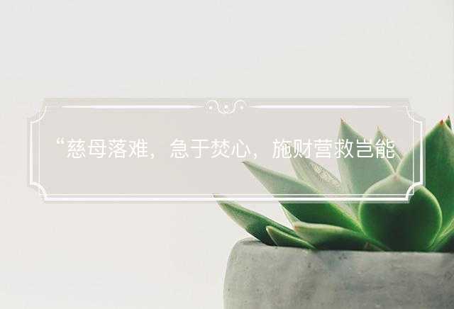 慈母落难，急于焚心，施财营救岂能等打一最佳生肖，是指什么生肖，词语解答解释落实