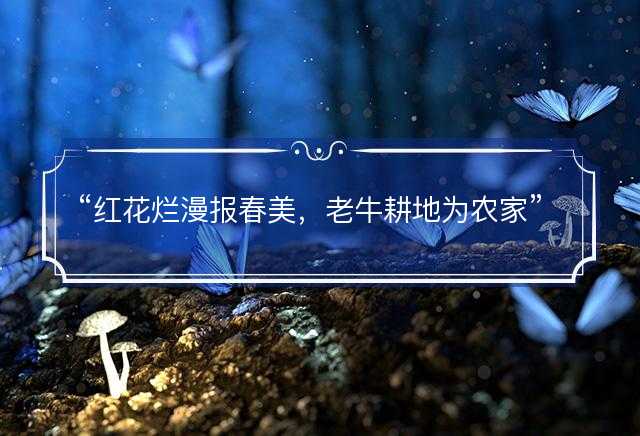红花烂漫报春美，老牛耕地为农家是指什么生肖，猜打一最佳生肖最佳解释释义落实
