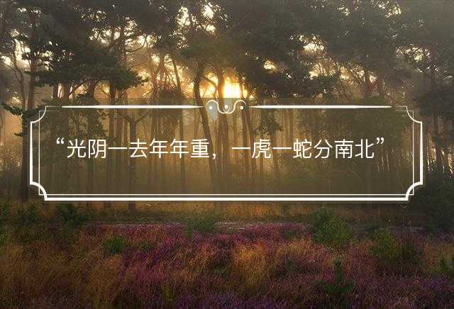 光阴一去年年重，一虎一蛇分南北是什么生肖，打一准确生肖精选成语释义解释落实