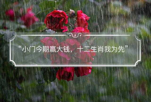 小门今期赢大钱，十二生肖我为先是什么生肖，打一最佳正确生肖，词语释义解释落实