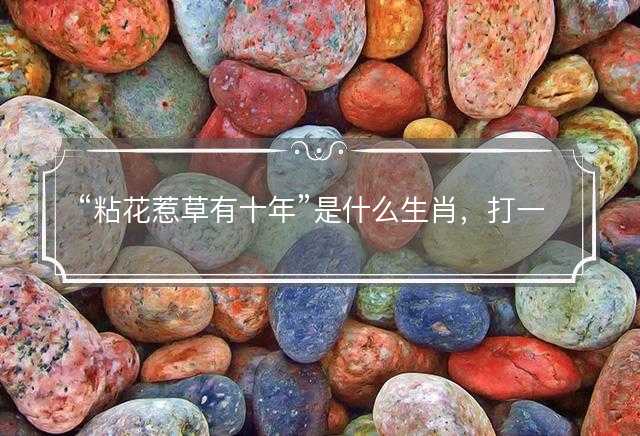 粘花惹草有十年是什么生肖，打一最佳正确生肖，成语精选解释落实