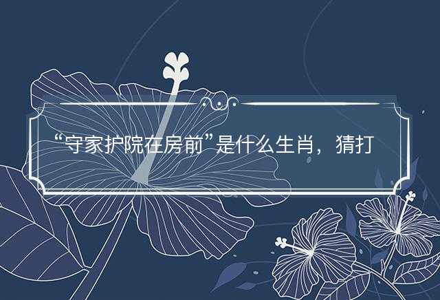 守家护院在房前是什么生肖，猜打一正确生肖精选答案解释落实