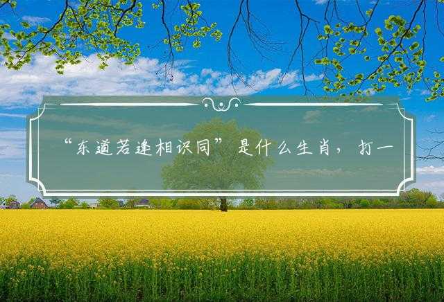 东道若逢相识同是什么生肖，打一最佳正确生肖，成语精选解释落实