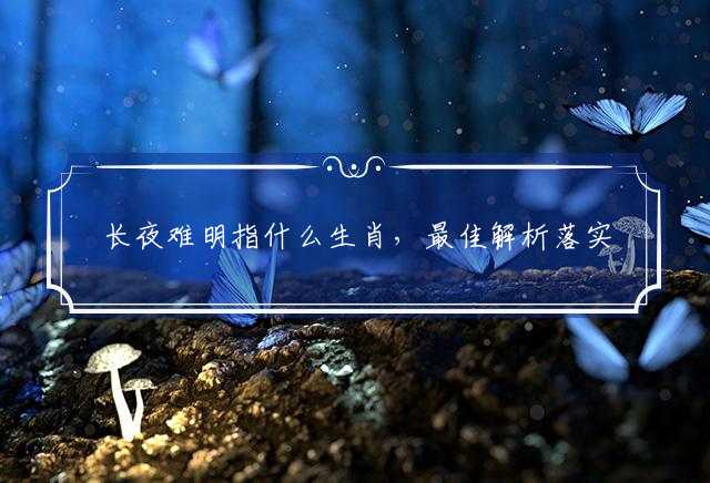 长夜难明指什么生肖，最佳解析落实