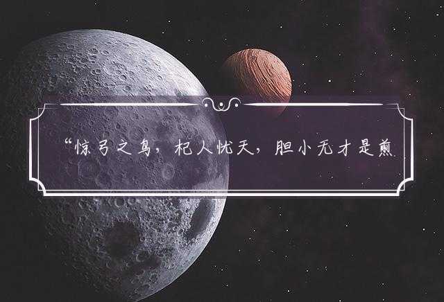惊弓之鸟，杞人忧天，胆小无才是煎熬猜一正确准确生肖，代表什么生肖，成语精选解释落实