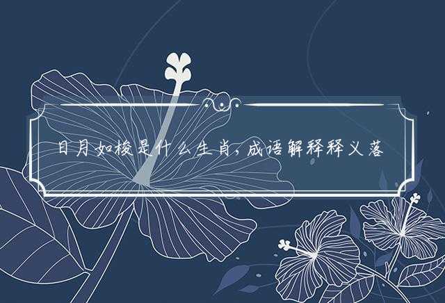 日月如梭是什么生肖,成语解释释义落实