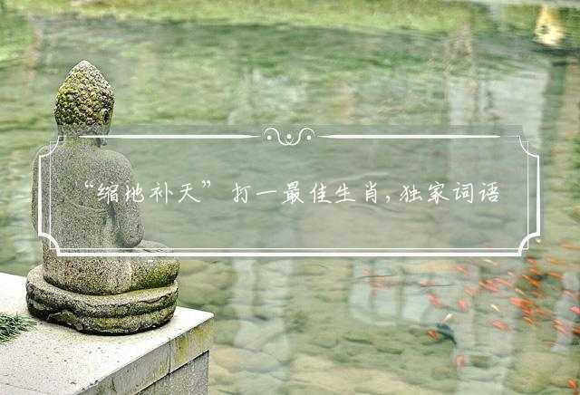 “缩地补天”打一最佳生肖,独家词语解释落实