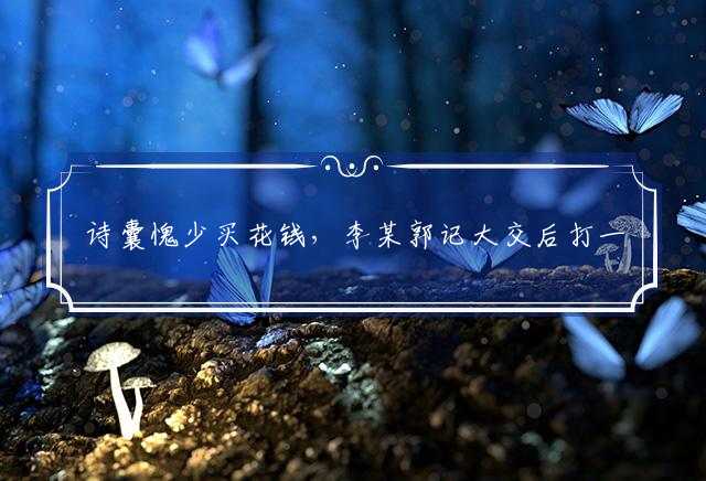 诗囊愧少买花钱，李某郭记大交后打一最佳最佳生肖,词语解释落实解析