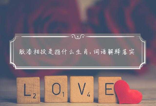 胶漆相投是指什么生肖,词语解释落实释义