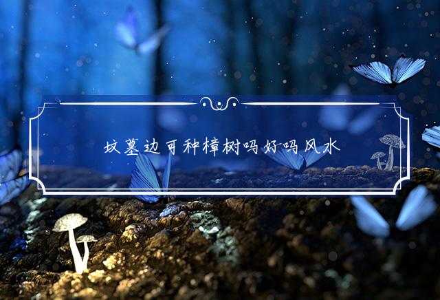 坟墓边可种樟树吗好吗风水