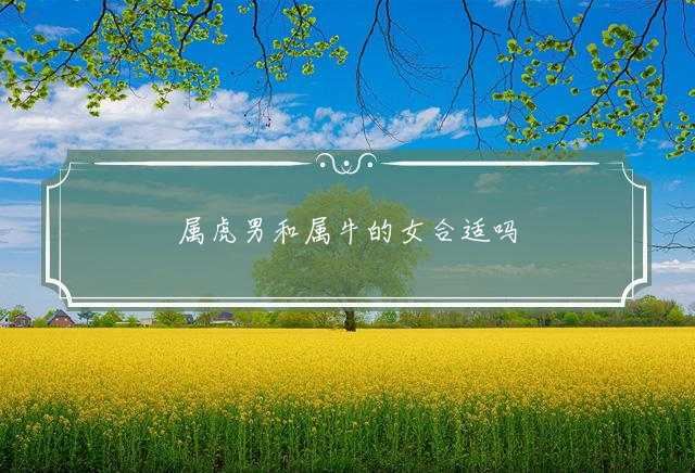 属虎男和属牛的女合适吗