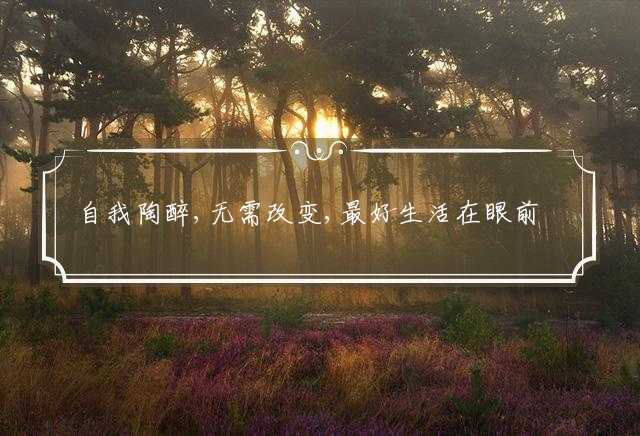 自我陶醉,无需改变,最好生活在眼前打一最佳生肖,详细解释落实