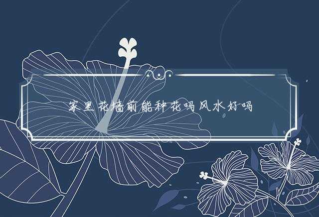 家里花墙前能种花吗风水好吗