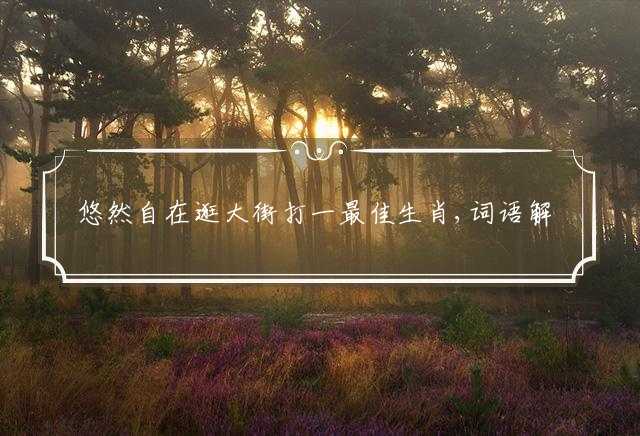 悠然自在逛大街打一最佳生肖,词语解释落实