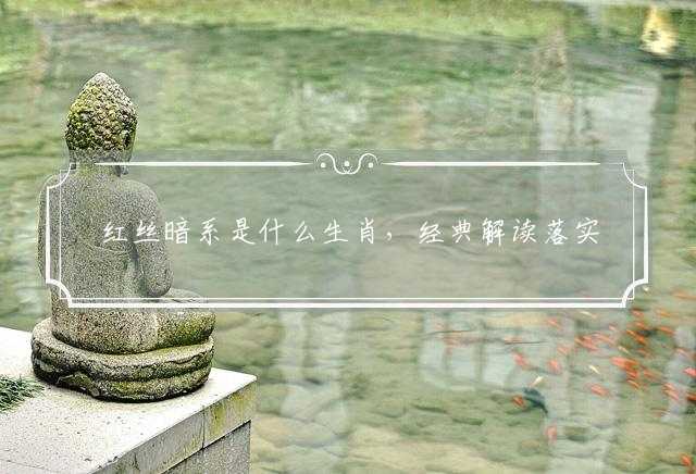 红丝暗系是什么生肖，经典解读落实