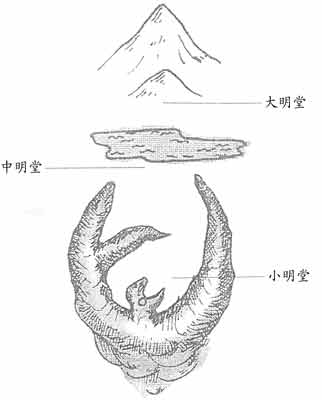 什么是墓地风水中的"明堂"？
