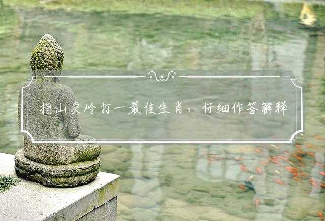 指山卖岭打一最佳生肖，仔细作答解释落实