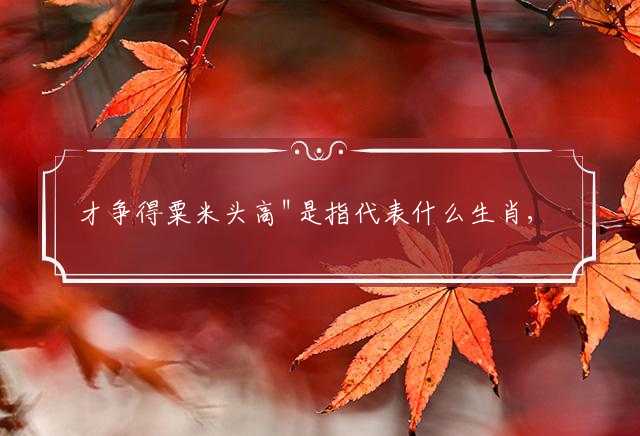 才争得粟米头高"是指代表什么生肖,词语含义阐述解答落实
