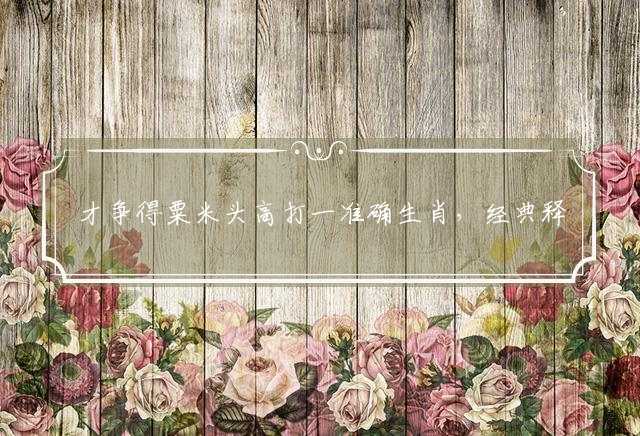 才争得粟米头高打一准确生肖，经典释义落实解释
