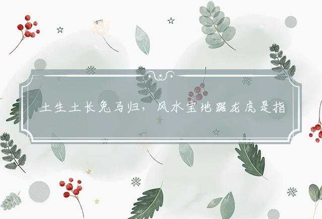 土生土长兔马归，风水宝地踞龙虎是指代表猜打一最佳生肖，词语含义阐述解答