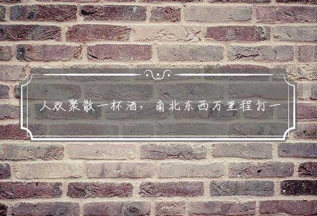 人欢聚散一杯酒，南北东西万里程打一准确生肖,释义谜底作答解释