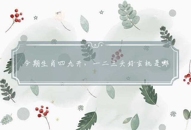 今期生肖四九开，一二三头好玄机是哪个生肖词语,词语深入阐述释义