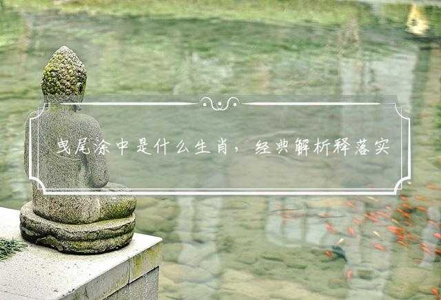 曳尾涂中是什么生肖，经典解析释落实