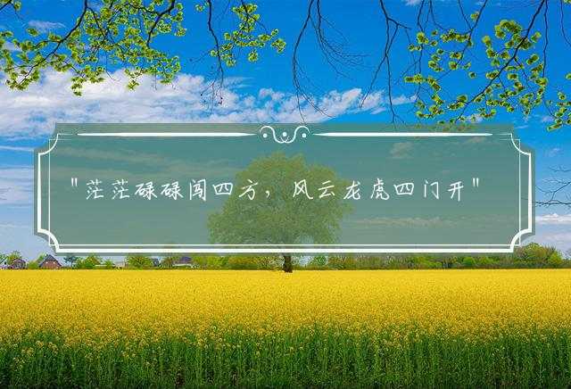 "茫茫碌碌闯四方，风云龙虎四门开"是打猜一最佳准确生肖,释义词典成语解释