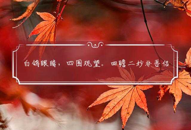 白鸽眼睛，四围观望。回瞻二妙非吾侣。寻找伴侣，相依晚傍。两军鼓角暗相闻代表解什么生肖,打一准确解释