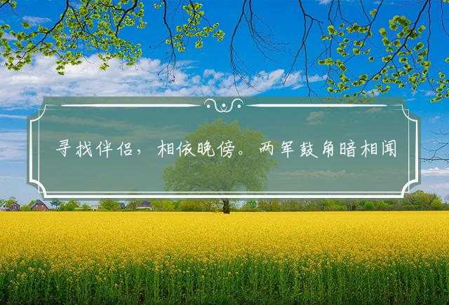 寻找伴侣，相依晚傍。两军鼓角暗相闻打一生肖，解释词语作答解析