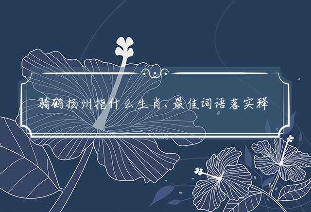 骑鹤扬州指什么生肖,最佳词语落实释义解释
