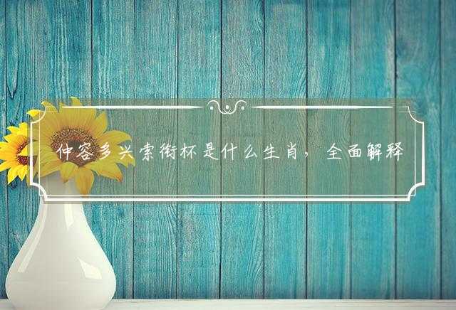 仲容多兴索衔杯是什么生肖，全面解释作答落实