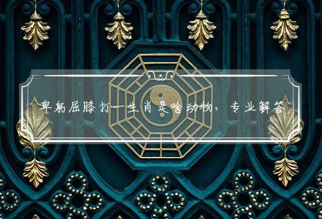 卑躬屈膝打一生肖是啥动物,专业解答来了