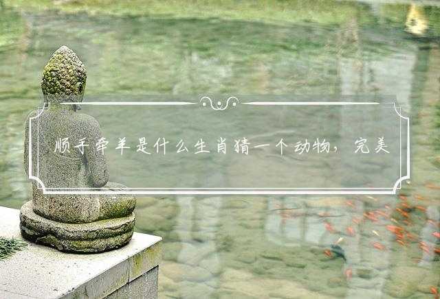 顺手牵羊是什么生肖猜一个动物，完美揭晓解释