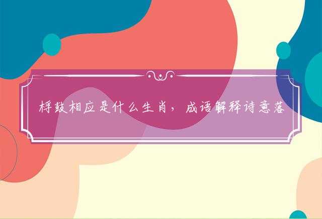 桴鼓相应是什么生肖，成语解释诗意落实