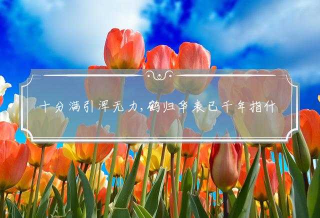 十分满引浑无力,鹤归华表已千年指什么最佳生肖,释义最佳成语解释落实