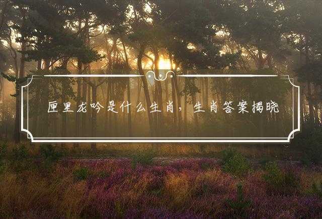 匣里龙吟是什么生肖，生肖答案揭晓